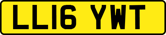 LL16YWT