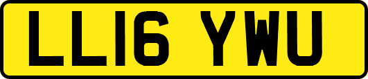 LL16YWU