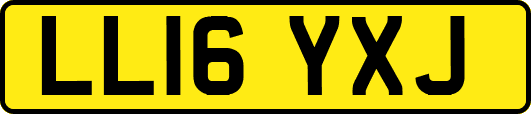 LL16YXJ