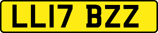 LL17BZZ