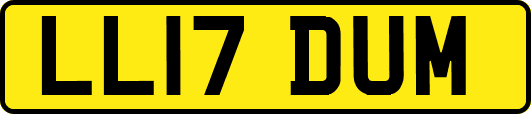 LL17DUM