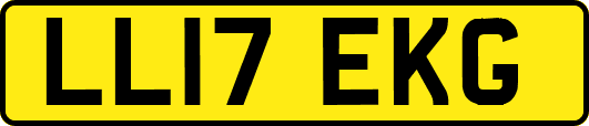 LL17EKG