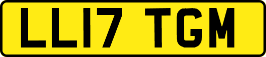 LL17TGM