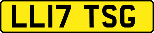 LL17TSG