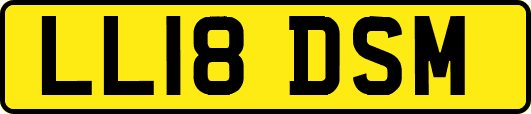 LL18DSM