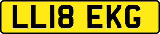 LL18EKG