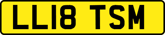 LL18TSM