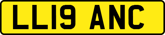 LL19ANC