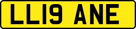 LL19ANE