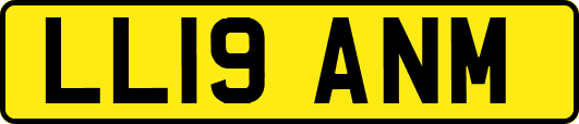 LL19ANM