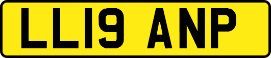 LL19ANP