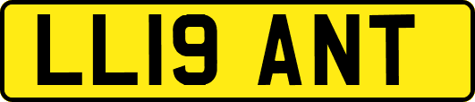 LL19ANT