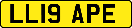 LL19APE
