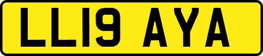 LL19AYA