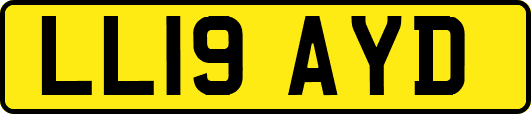 LL19AYD