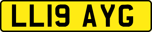 LL19AYG