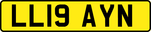 LL19AYN