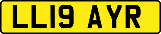 LL19AYR