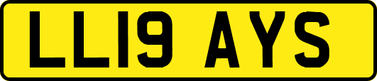 LL19AYS