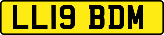 LL19BDM