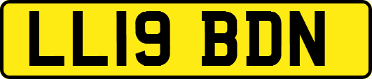 LL19BDN