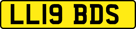 LL19BDS