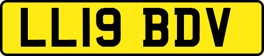 LL19BDV