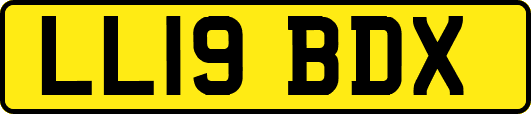 LL19BDX