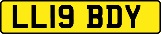 LL19BDY