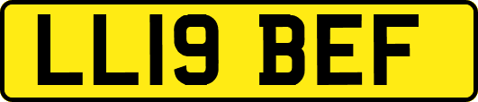 LL19BEF