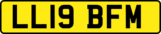 LL19BFM