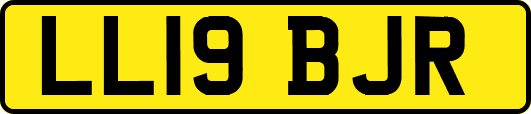 LL19BJR