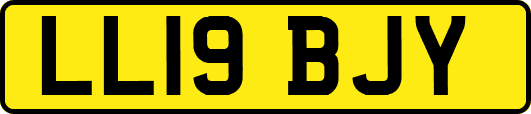 LL19BJY