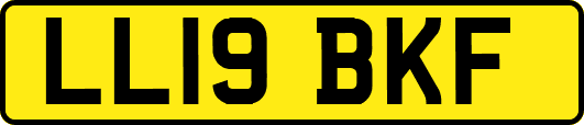 LL19BKF