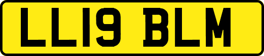 LL19BLM