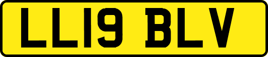 LL19BLV