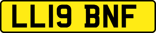 LL19BNF