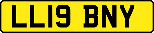 LL19BNY