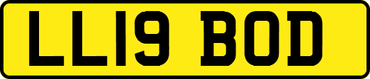 LL19BOD