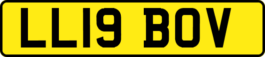 LL19BOV
