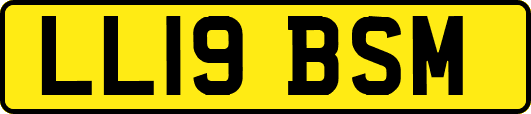 LL19BSM