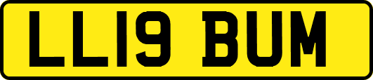 LL19BUM