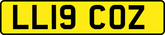 LL19COZ