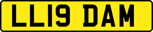 LL19DAM