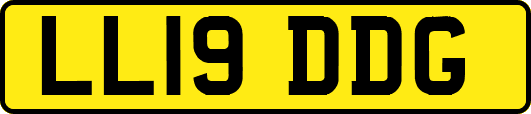 LL19DDG