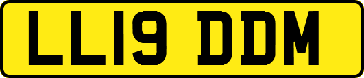 LL19DDM