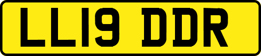 LL19DDR