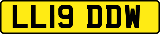 LL19DDW