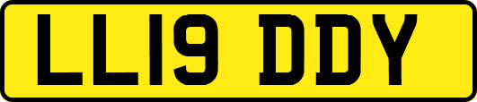 LL19DDY
