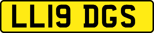 LL19DGS
